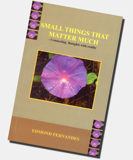 Small Things That Matter Much book